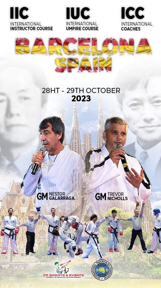 Entrenamiento de Taekwon